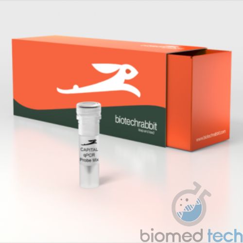 4X CAPITAL™ qPCR Probe Master Mix