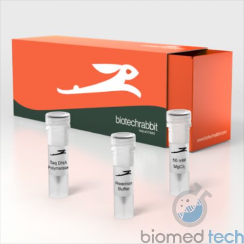 Taq DNA Polymerase, 5 U/µl